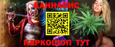 индика Северобайкальск