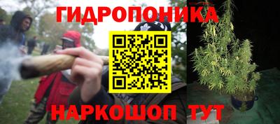 индика Северобайкальск