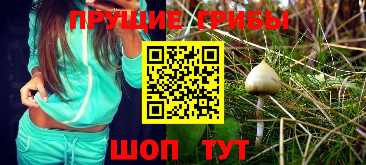 Ртищево  Галлюциногенные грибы MAGIC MUSHROOMS  Вход с VPN 