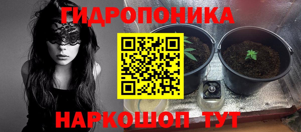 Бошки марихуана THC 21% Ртищево